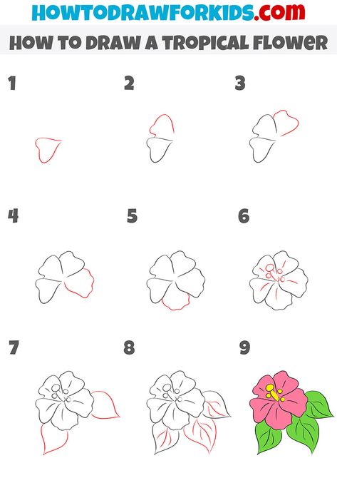 how to draw a tropical flower step by stepp Tropical Flower Doodle, Simple Tropical Drawings, Hibiscus Flower Drawing Tutorials, Hawaii Flower Painting Easy, Hibiscus Drawing Tutorial, How To Draw Hawaiian Flowers Easy, Hawaiin Flowers Drawings, Hawaiian Flowers Drawing Step By Step, Tropical Flower Drawing Easy