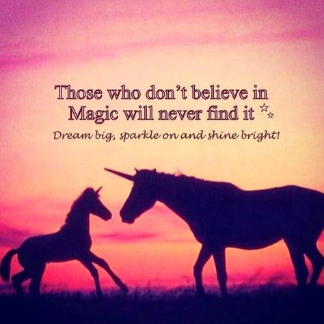 Unicorn-saying-those-who-don't-believe-in-magic-will-never-find-it I Am A Unicorn, Unicorn Quotes, Unicorn Life, Real Unicorn, Unicorn Pictures, Unicorns And Mermaids, Believe In Magic, Great Quotes, Find It