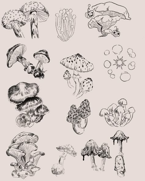 Mushroom Drawing Line Art, Cottagecore Drawing Reference, Black And Gray Mushroom Tattoo, Vintage Mushroom Tattoo, Mushroom Wildflower Tattoo, Line Work Mushroom Tattoo, Mycology Tattoo, Fineline Mushroom Tattoo, Fern Mushroom Tattoo