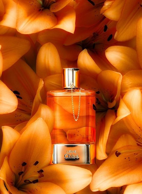 Orange Perfume, Trending 2023, Perfume Photography, Cosmetics Photography, Perfume Design, Beauty Design, Luxury Fragrance, Perfume Collection, Women Fragrance