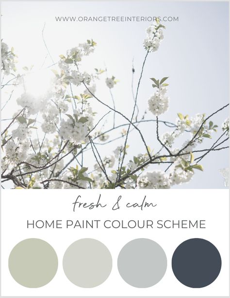 Greens And Neutrals Palette, Earthy Colours Bedroom, Sage Green Colour Palette Kitchen, Home Colour Pallets, Subtle Green Paint Colors, Sage Green Whole House Color Scheme, Sage Green Color Palette Home, Sage Colour Scheme, Sage Green Paint Palette