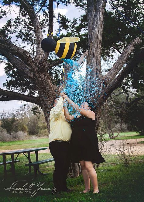 Bee Hive Gender Reveal Pinata Diy, Honey Bee Gender Reveal Ideas, Baby Reveal Ideas, Bee Themed Gender Reveal, What Will It Bee, Creative Gender Reveals, Bee Gender Reveal, Gender Reveal Party Theme, Swim Dresses