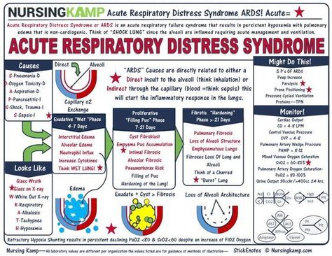 Acute Respiratory Distress Syndrome #medschool #doctor #medicalstudent - Image Credits: Nursing KAMP Acute Respiratory Distress, Respiratory Therapy Student, Acute Respiratory Failure, Respiratory Distress, Nurse Study Notes, Nursing Mnemonics, Medical Surgical Nursing, Neonatal Nurse, Nursing School Survival