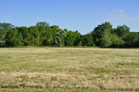 Sell My Land Forsyth County NC [We Buy Land In Forsyth County] My Land, Buy Land, Knox County, Winston Salem Nc, Purchase Contract, Property Investor, Carson City, Vacant Land, Fast Cash