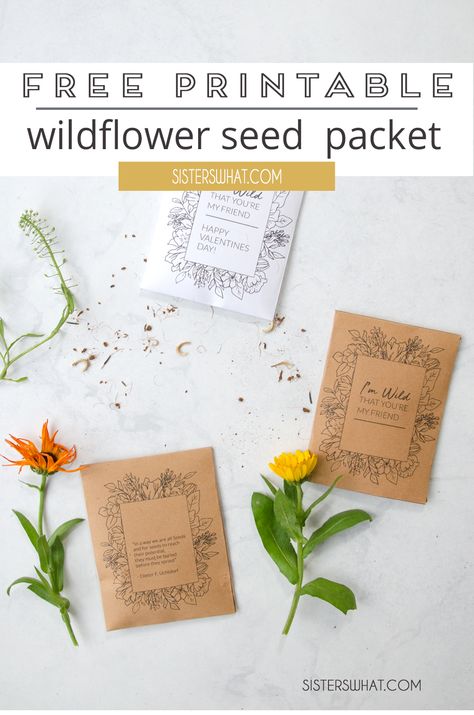 print off these beautiful seed packets and use them for Valentines or just a spring gift idea for a friend. #printable #wildflowerprintable #valentineprintable Printable Seed Packets, Flower Seed Gifts, Diy Seed Packets, Valentine Days, Flower Seeds Packets, Handmade Holiday Gifts, Creative Diy Gifts, Valentines Printables Free, Spring Gifts