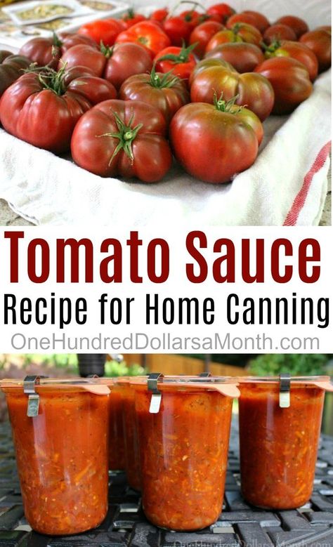 Simple Tomato Sauce Recipe for Canning - One Hundred Dollars a Month Tomato Sauce Canning, Canning Tomato Sauce, Canning Tomatoes Recipes, Simple Tomato Sauce, Fresh Eating, Canning Peaches, Clean Breakfast, Home Canning Recipes, Easy Tomato Sauce