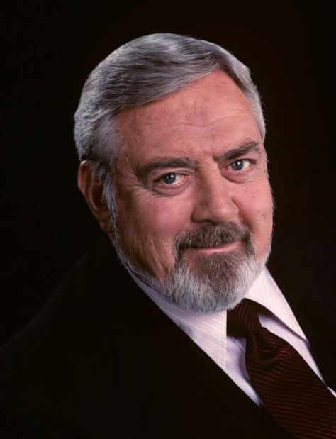 Raymond Burr...Ironside William Hopper, Barbara Hale, Perry Mason Tv Series, Raymond Burr, Oscar Winning Movies, Perry Mason, Short Shag Hairstyles, Handsome Older Men, Great Tv Shows