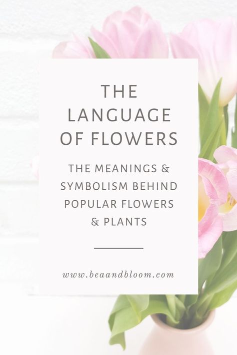 The Language of Flowers - The Meanings & Symbolism behind popular flowers & plants - Bea & Bloom Creative Design Studio #designtips #flowers Plant Symbolism, Plant Meanings, Nature Symbols, The Language Of Flowers, Flower Symbol, Creative Design Studio, Grow In Grace, Celebrate Good Times, Popular Flowers