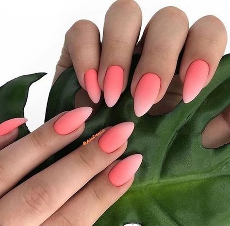 Matte finish coral ombre effect on medium almond nails Ombre Nail Design, Stars Nails, Ombre Nail Art Designs, Unghie Sfumate, Matte Nails Design, Ombre Nail Designs, Her Nails, Nail Art Ombre, Pink Nail