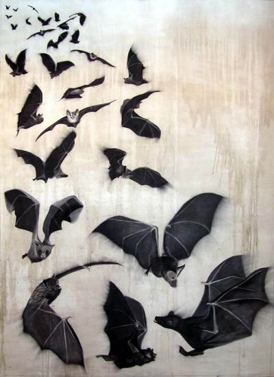 Gothic Charm School: pretty things • plutobat:   Bats bat-flight-of-bats Animal... Tim Burton Personajes, Bat Images, Illusion Kunst, Bats Flying, Bat Animal, Bat Art, Bat Tattoo, Creatures Of The Night, Halloween Props