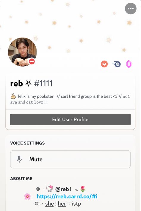 Discord Profile Inspo Nitro, Phone Inspiration, User Profile, Phone Themes, Profile Picture, The Voice, Romance