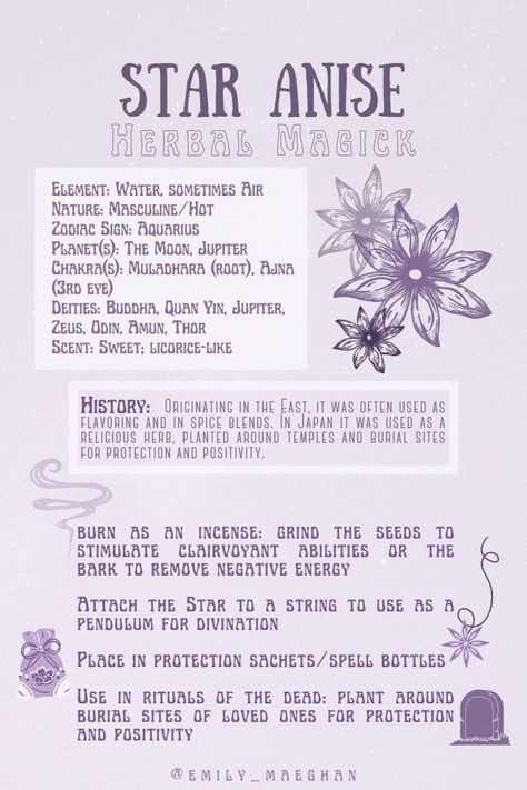 Star Anise Witchcraft Uses, Star Anise Meaning Witchcraft, Magical Correspondences Herbs, Anise Magical Properties, Star Anise Spiritual Meaning, Anise Star Magic, Magical Properties Of Star Anise, Saturday Magical Correspondences, Star Anise Witchcraft