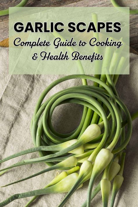 Garlic scapes are delicious and have multiple uses. Garlic scapes also have lots of health benefits, similar to regular garlic. Learn everything you need to know about garic scapes, including the health benefits and ways to preserve and prepare them. Garlic Scapes, Types Of Vegetables, Jams & Jellies, Health Benefits, Jelly, Garlic, Jam, Need To Know, Herbs