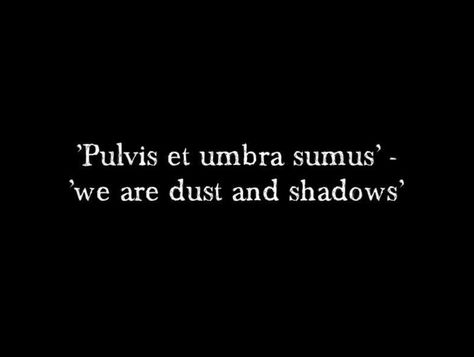 Dark Words Aesthetic, Shadow Wielder, Ashes Quotes, Pulvis Et Umbra Sumus, Villains Quotes, Gothic Quotes, Latin Quotes, Vampire Stories, Dark And Twisty