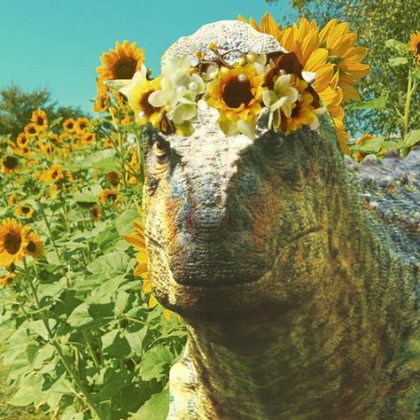 Jurrasic Park, Dinosaur Funny, Incredible Creatures, Jurassic Park World, Prehistoric Creatures, Prehistoric Animals, Jurassic World, Jurassic Park, Sunflower