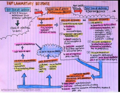 Abg Analysis, Pathophysiology Notes, Immunity Nursing, Medic School, Concept Map Nursing, Pathology Study, Nurse Hacks, Advanced Pathophysiology, Pathophysiology Nursing