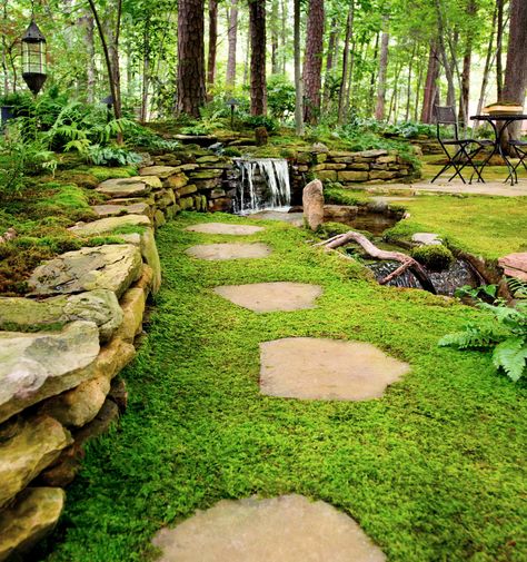 Moss Lawn, Growing Moss, Mother Earth Living, Moss Garden, Ground Cover Plants, Have Inspiration, Woodland Garden, Green Forest, Garden Stones