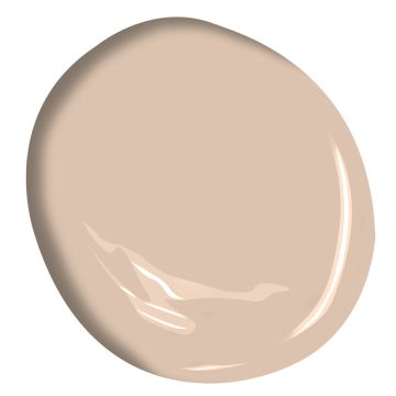 Benjamin Moore boudoir, matched to farrow and ball setting plaster Frau Blucher, Benjamin Moore Beige, Tina Moore, Front Door Color Ideas, Benjamin Moore Bathroom, Door Color Ideas, Paint Benjamin Moore, Paint Magic, Setting Plaster