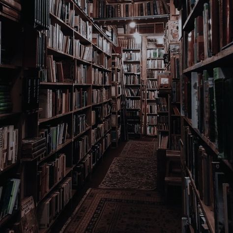 Light Fairycore, Fancy Aesthetic, Aesthetic Covers, Sebastian Sallow, Book Shops, Beautiful Library, Library Aesthetic, Vintage Library, Stuck In My Head