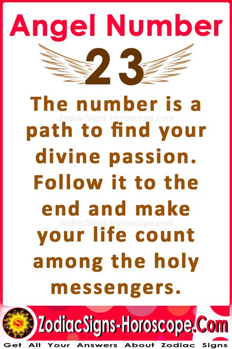 23 Lucky Number, 23 23 Meaning, 23 Number Meaning, 23 Meaning Number, Number 23 Meaning, 23 23 Angel Number, 23 Angel Number, Angel Number 23, 23 Meaning