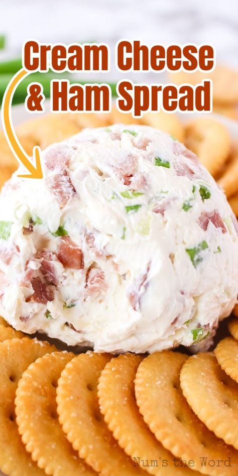 Diced Ham Appetizers, Appetizers With Leftover Ham, Country Ham Cheese Ball, Deep Fried Ham And Cheese Balls, Ham Finger Food, Cream Cheese Ham Green Onion Dip, Ham And Cheese Balls Recipe, Ham Appetizers Holiday, Ham Cheese Ball Recipes Easy