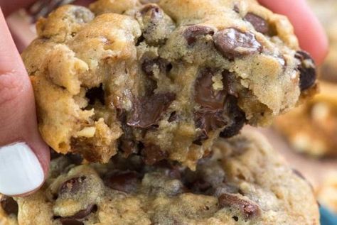 Doubletree Chocolate Chip Cookie Recipe, Doubletree Chocolate Chip Cookies, Crazy For Crust, Chocolate Chip Cookie Recipe, Caramel Cookies, Chip Cookie Recipe, Salmon Recipe, Chocolate Chip Cookie, Cookies Recipes Chocolate Chip