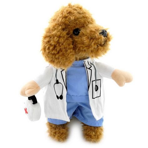 Doctor Halloween Costume, Small Dog Costumes, Dog Fancy Dress, Doctor Halloween, Small Dog Coats, Puppy Coats, Luxury Dog Collars, Suit Costume, Cat Halloween Costume