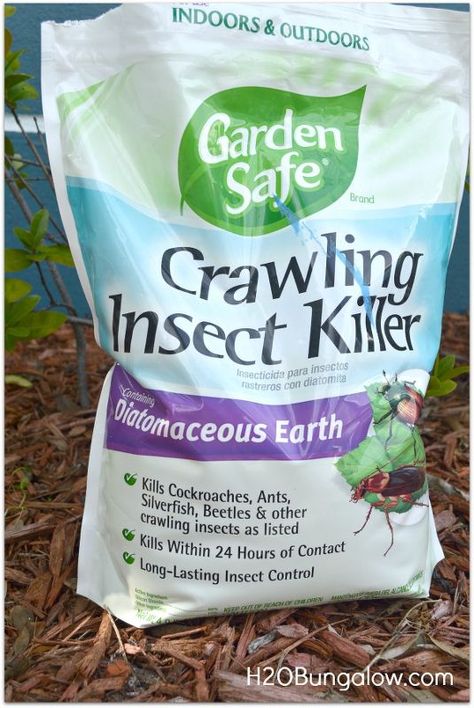 organic pest control that works, gardening, green living, pest control Roach Killer, Kill Ants, Organic Pest Control, Types Of Insects, Flea Prevention, Best Pest Control, Bug Control, Bees And Wasps, Natural Pest Control