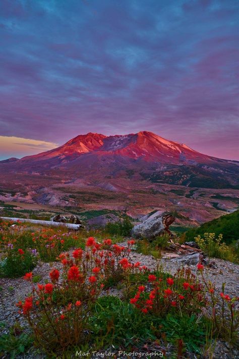 Mount Saint Helens at sunset Mount Saint Helens, Mount St Helens, Saint Helens, Good Morning Image Quotes, St Helens, Beautiful Sunrise, Morning Pictures, Magical Places, Good Morning Images