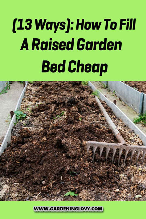 Raised garden beds are becoming the preferred option for plantations among gardeners due to various purposes. Read this post to learn super easy and budget-friendly ways how to fill a raised garden bed cheaply this blog. Raised Beds, Raised Garden Beds, Raised Garden, Garden Beds, Budget Friendly, Gardening Tips, Bed, Plants