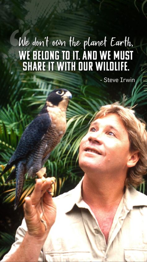 Steve Irwin Day, Earth Day Quotes, Animal Lover Quotes, Irwin Family, Grad Quotes, Crocodile Hunter, Save Wildlife, Steve Irwin, Save Nature