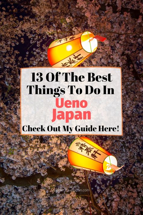 Is Ueno worth visiting? What can you do there? Find out my favorite things to do in this cool little corner of the Tokyo Metropolis! #japan #japantravel #ueno #uenopark #asia #travelasia Ueno Japan, Ueno Tokyo, Ueno Park, Japan Vacation, Travel Japan, The Trip, My Favorite Things, Asia Travel, Metropolis