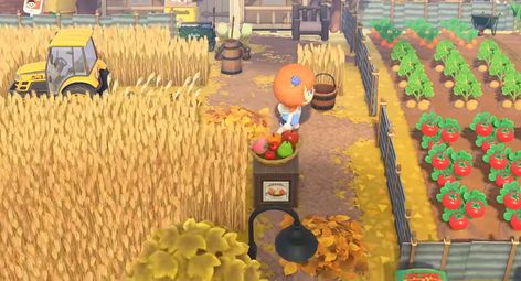 Acnh Farm Dream Address, Animal Crossing Crop Ideas, Acnh Farm Outfit, Farm Ideas Acnh, Acne Farm Ideas, Farm Custom Design Animal Crossing, Acnh Farm Island, Farm Animal Crossing, Farm Acnh