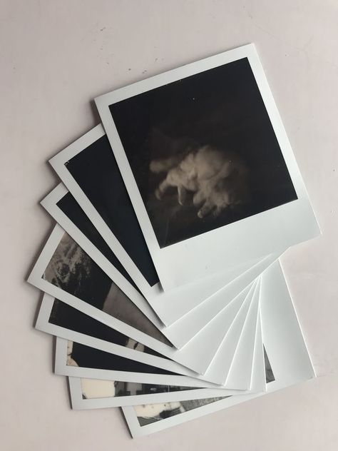 Polaroid Frames, Polaroid Photography, Instax Photos, Yearbook Themes, Polaroid Frame, Instagram Frame Template, Old Camera, Color Film, Instagram Frame