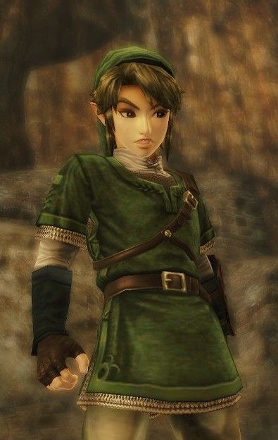 Link Hyrule Warriors, Link Twilight Princess, Blonde Gif, Link Cosplay, Lady Stardust, Treasure Chests, Game Screenshots, Zelda Twilight Princess, Samurai Artwork