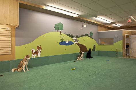 Dog Park Equipment, Indoor Dog Park, Indoor Dog Kennel, Dog Lounge, Daycare Design, Doggy Daycare, Dog Hotel, Dog Playground, Pet Resort