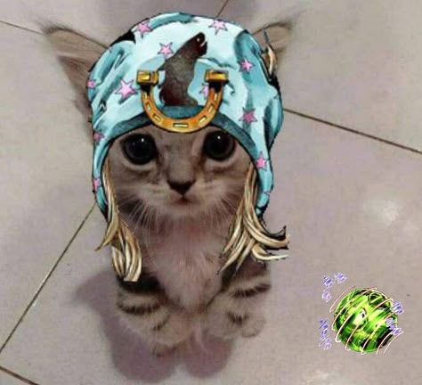 Jojo's Bizarre Adventure Johnny, Johnny Pfp Jojo, Steel Ball Run Pfp, Jojos Bizzare Adventure Pfp, Johnny Joestar Manga, 2021 Pfp, Johnny Joestar Pfp, Johnny Joestar Icon, Jojo Cat