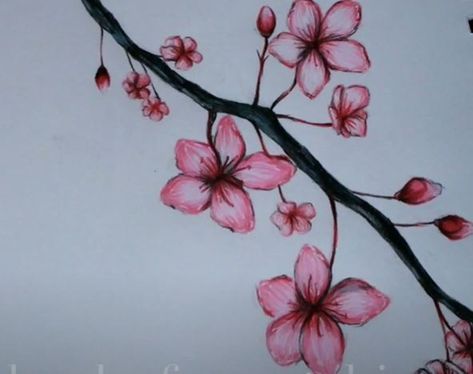 How To Draw A Blossom Tree, How To Draw Flower Petals Step By Step, Cherry Blossom Drawing Easy, Easy Cherry Blossom Drawing, How To Draw Cherry Blossoms, Cherry Blossom Drawing Simple, Sakura Tree Drawing, Cherry Blossom Tree Drawing, Blossom Tree Drawing