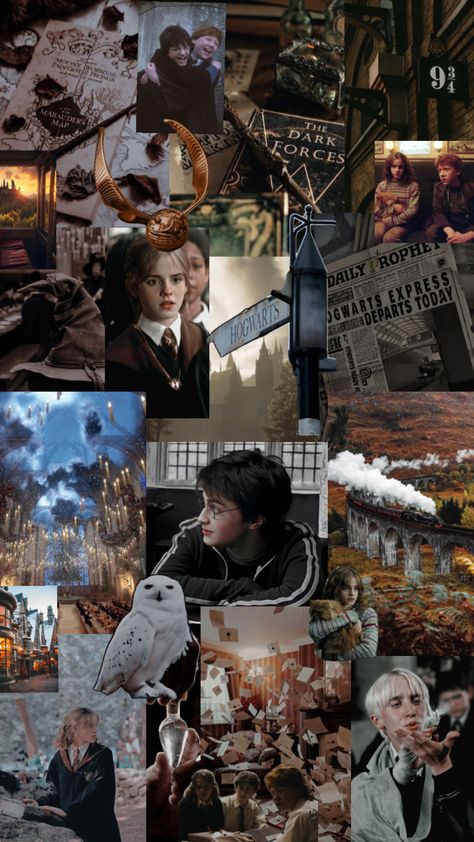 Harry Potter Collage Aesthetic, Han So Hee Aesthetic Wallpaper, Harry Potter Collage, Harry Hermione Ron, Harry Potter 9, Ash Pokemon, Harry Potter Images, The Sorcerer's Stone, Harry Potter Hermione