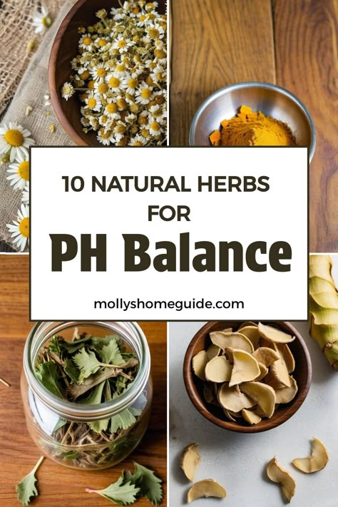 Explore the power of herbs for pH balance in your body with this comprehensive guide. Learn about alkaline foods and herbs that can help you achieve optimal pH levels. Discover the benefits of using herbs for hormonal balance, UT health, and yoni health. Find a convenient pH balance cheat sheet to keep you on track with your wellness goals. Dive into the world of herbs for PCOS and maintaining overall reproductive health. Consider incorporating an herbal blend specifically designed to support yo How To Know If Your Ph Balance Is Off, How To Balance Ph Levels For Women, Ph Balance For Women, Female Hormone, Aphrodisiac Foods, Herbal Medicine Recipes, Healing Plants, Hormonal Balance, Ph Levels