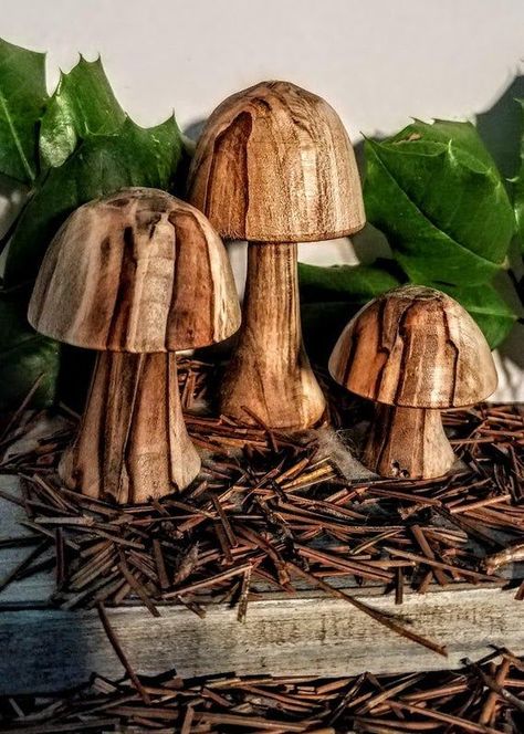 Wooden Mushrooms, Forest Mushrooms, Pen Making, Lathe Projects, Got Wood, Woodworking Magazine, Wood Vase, Wood Turning Projects, Wood Lathe