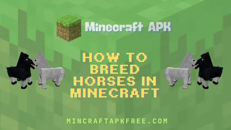 In Minecraft 1.21.50.20 there are different animals for different uses. Horses are one of the main and most useful and precious assets in Minecraft APK. Horses are used to carry out essential activities and optimize the gameplay.

Players need a good quantity of horses to travel, ride, and expand their stable or farm, but the question is How to Breed Horses in Minecraft? How do you master breeding mechanics? Minecraft Horse, Horse Breeding, Different Animals, Minecraft 1, Start Now, Horse Breeds, Best Practices, The Question, Minecraft