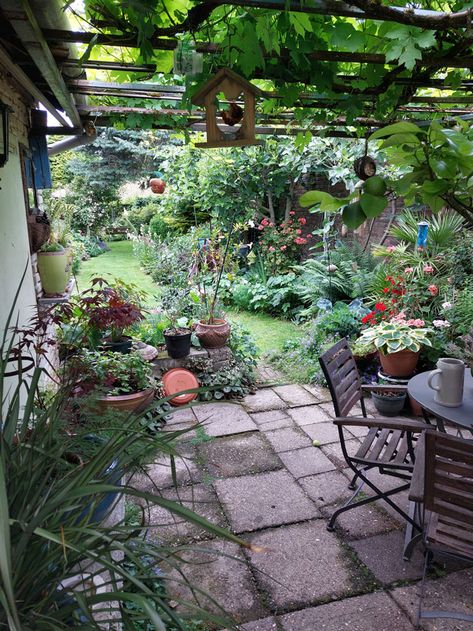 Interior Gardens, Gardening Pictures, Terrasse Design, Tattoo Plant, Small Courtyard Gardens, Bird Sanctuary, Garden Inspo, Cottage Garden Design, Thriving Garden