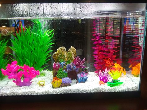 Colorful Aquarium Ideas, Fish Tank Ideas 20 Gallon, 20 Gallon Fish Tank, Colorful Fish Tank, Aesthetic Fishtanks, 5.5 Gallon Fish Tank Ideas, Fish For 10 Gallon Tank, Glofish Tank, Cool Fish Tank Decorations