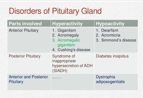 Pathophysiology Notes, Pituitary Gland Disorders, Pituitary Gland Tumor, Anterior Pituitary, Nurse Notes, Student Tips, Endocrine Disorders, Nursing Student Tips, Adrenal Health