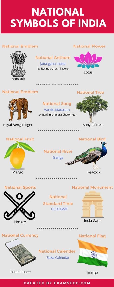 National Symbols Of India, अंग्रेजी व्याकरण, General Knowledge For Kids, General Knowledge Quiz Questions, Upsc Notes, India Gk, Ias Study Material, India For Kids, General Studies