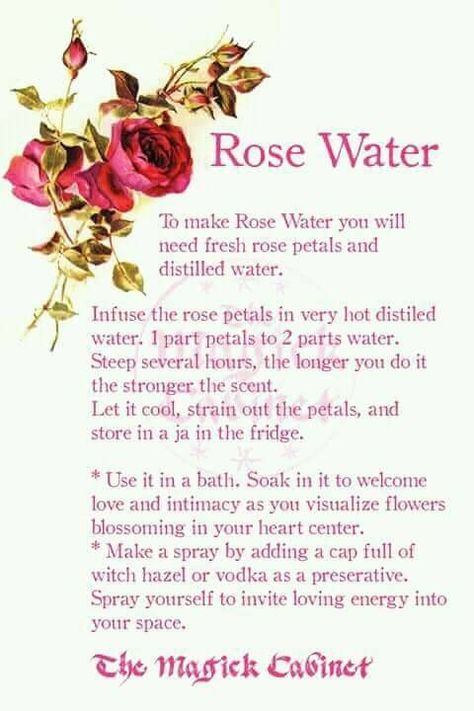 How to make Rose Water Rose Water Recipe, Make Rose Water, Rose Water Diy, Potions Recipes, Fresh Rose Petals, Magickal Herbs, Witch Herbs, How To Make Rose, Magic Herbs