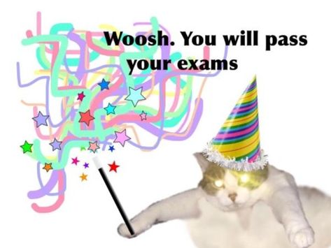 Whoosh. you will pass your exams | Whoosh / вжух | Know Your Meme Exams Memes, How To Pass Exams, Seni Pastel, Cute Messages, Wholesome Memes, Cute Memes, Cute Texts, Love Memes, Silly Cats