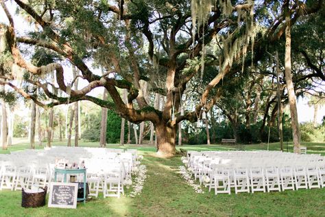 Outdoor Ceremony Decor Wedding Tree Arbor, Live Oak Wedding Ceremony, Oak Tree Ceremony, Spanish Moss Wedding, Ribault Club Wedding, Oak Tree Wedding Ceremony, Tree Wedding Ceremony, Wedding Alter, Willow Tree Wedding