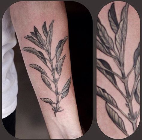 White sage botanical tattoo White Sage Tattoo, Sage Leaves Tattoo, Sage Plant Tattoo, Sage Leaf Tattoo, Sage Tattoo Flower, Sage Tattoo, Lisa Tattoo, Lower Leg Tattoos, Bum Tattoo